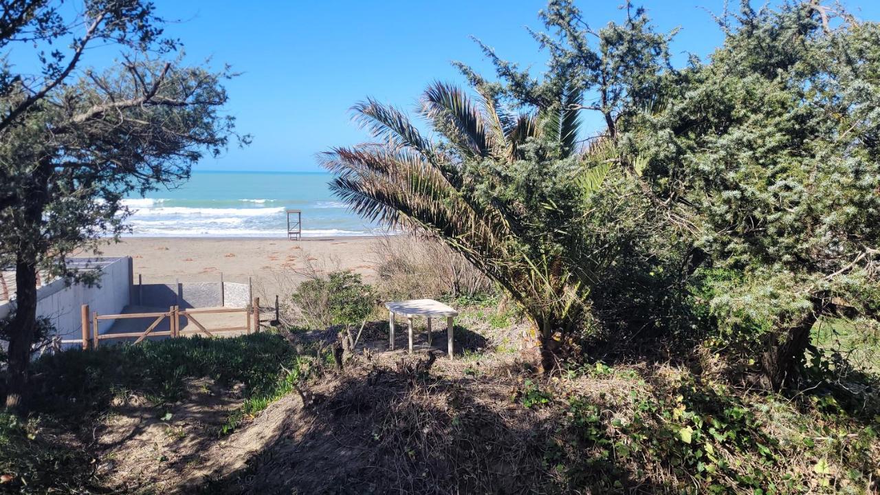 Miledy Monolocale Direttamente Sul Mare Apartment Marina di Castagneto Carducci Bagian luar foto